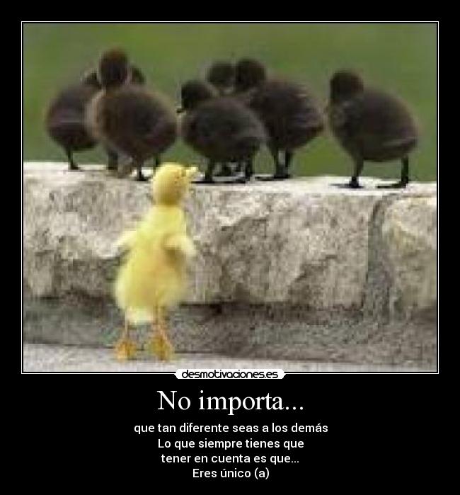 No importa... - que tan diferente seas a los demás
Lo que siempre tienes que
tener en cuenta es que...
Eres único (a)