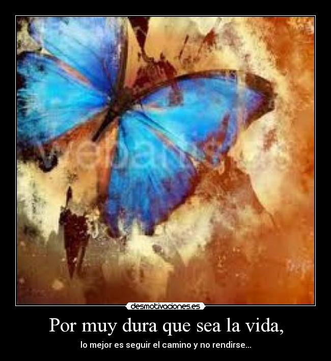 Por muy dura que sea la vida, - lo mejor es seguir el camino y no rendirse...