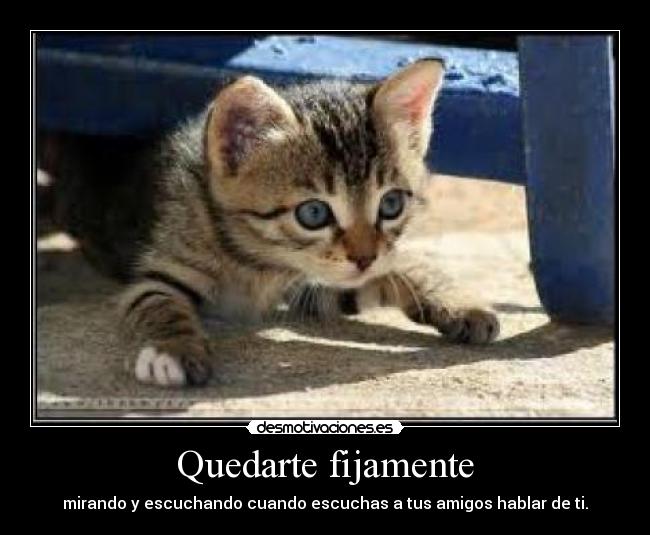 Quedarte fijamente - mirando y escuchando cuando escuchas a tus amigos hablar de ti.