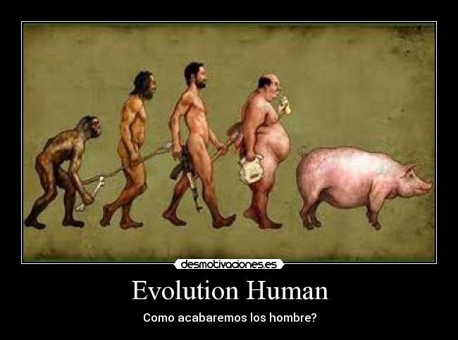 Evolution Human -