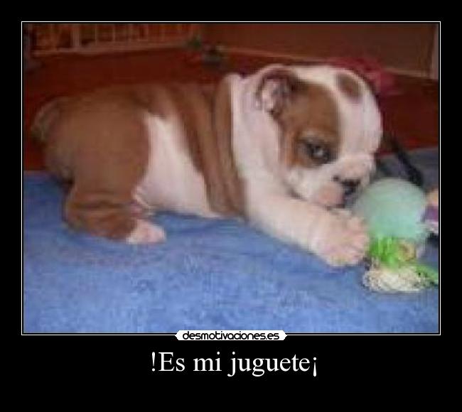 carteles perro desmotivaciones