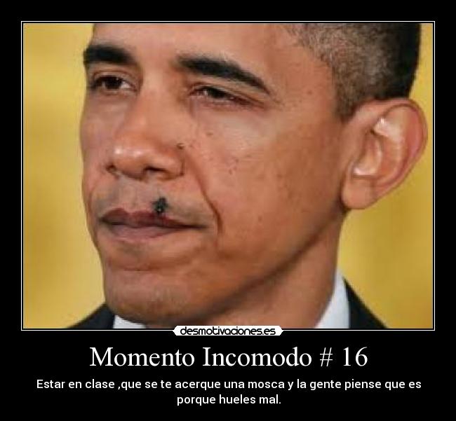 carteles mosca clase desmotivaciones
