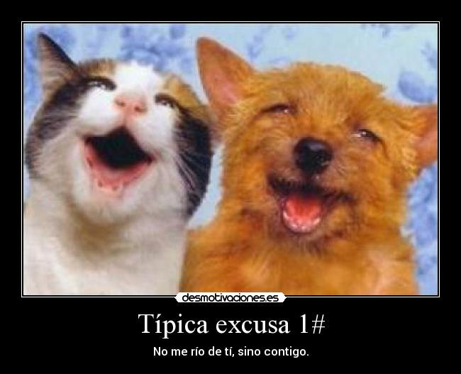 Típica excusa 1# - No me río de tí, sino contigo.