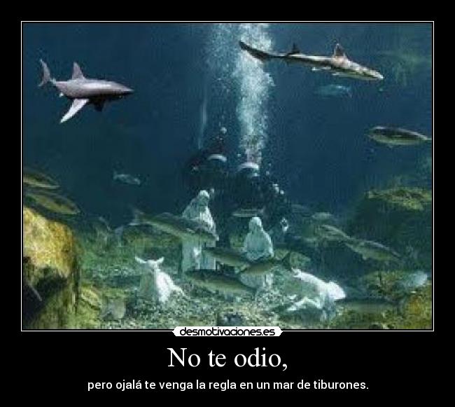 No te odio, - pero ojalá te venga la regla en un mar de tiburones.