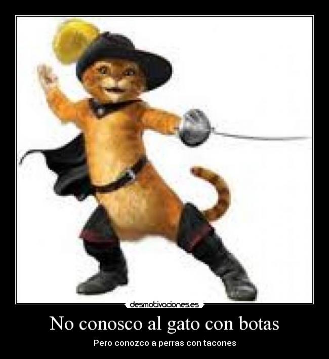 No conosco al gato con botas - 