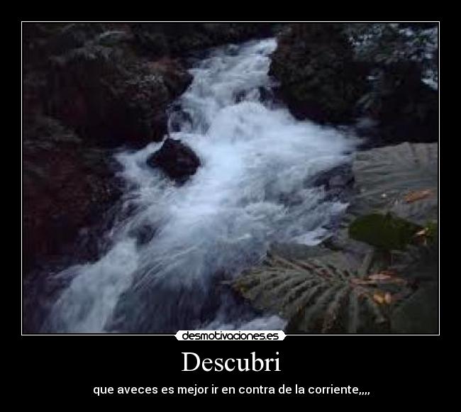Descubri - que aveces es mejor ir en contra de la corriente,,,,