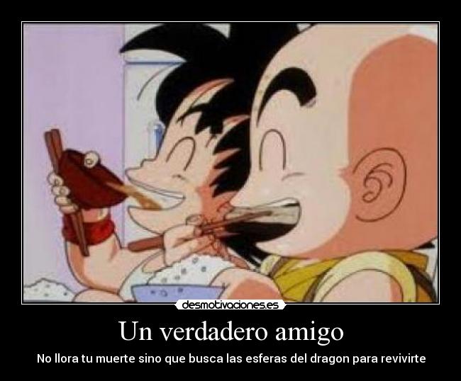 Un verdadero amigo - No llora tu muerte sino que busca las esferas del dragon para revivirte