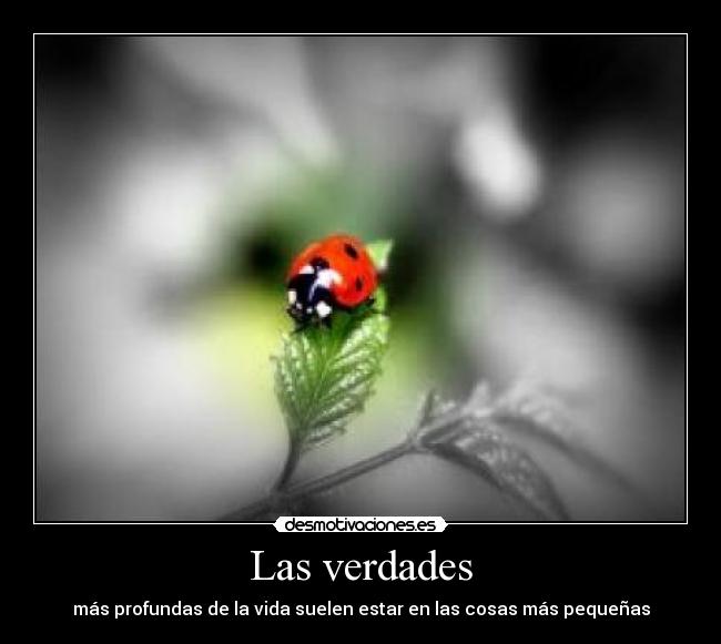 Las verdades - más profundas de la vida suelen estar en las cosas más pequeñas