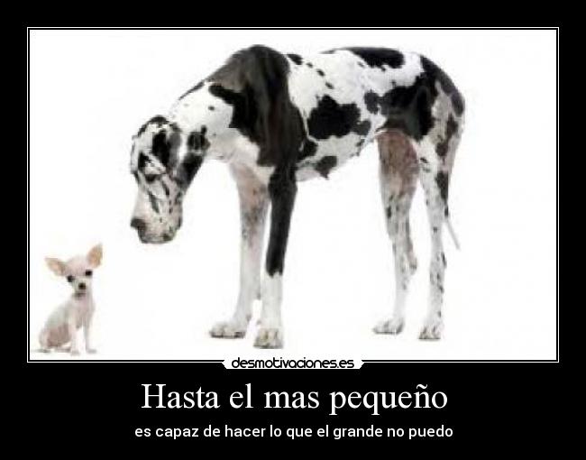 Hasta el mas pequeño -