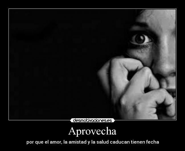 Aprovecha -