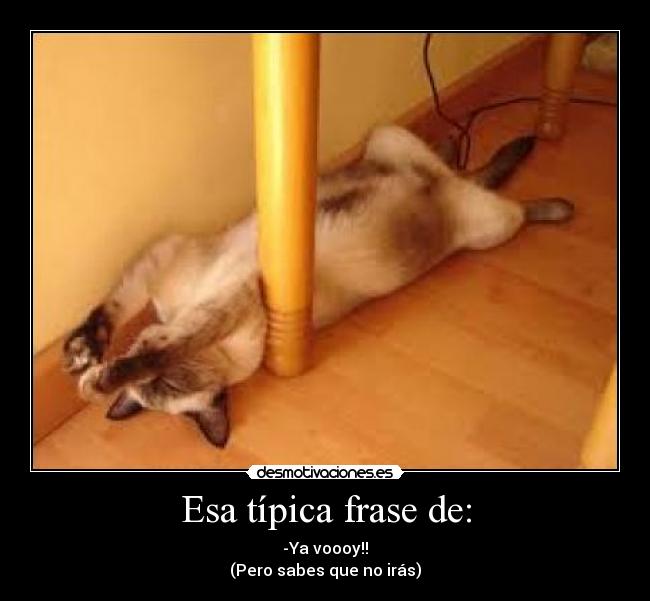 Esa típica frase de: - -Ya voooy!!
(Pero sabes que no irás)