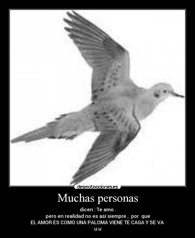 Muchas personas - dicen : Te amo .
pero en realidad no es así siempre , por que
EL AMOR ES COMO UNA PALOMA VIENE TE CAGA Y SE VA
u.u