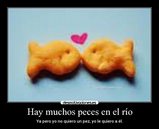 Hay muchos peces en el río -