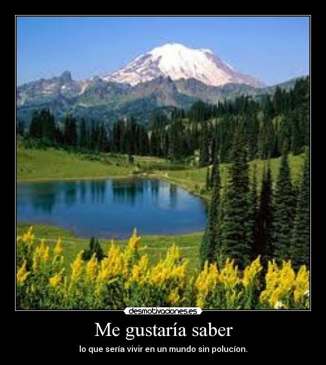 carteles brauno21 desmotivaciones