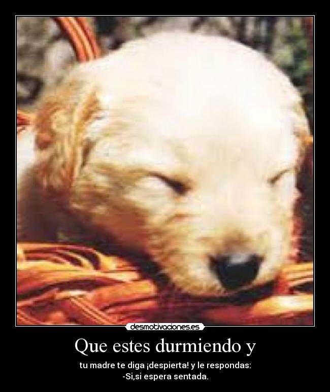 Que estes durmiendo y -