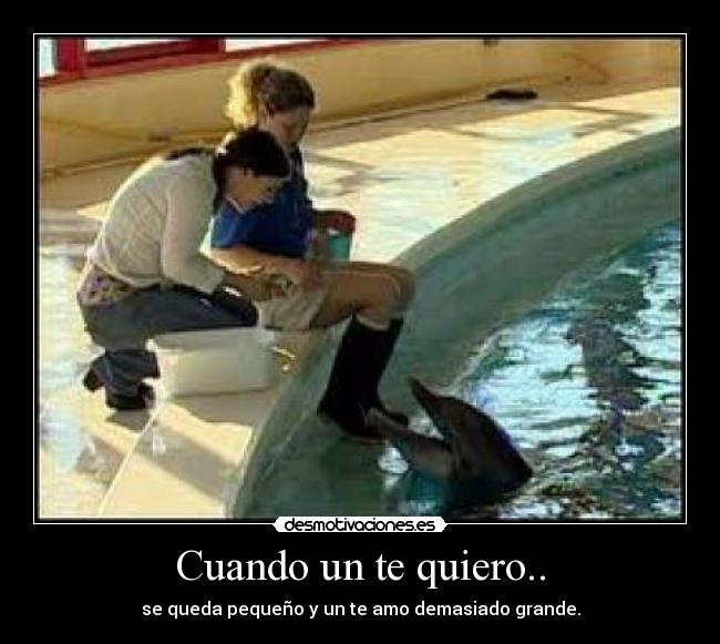 Cuando un te quiero.. - se queda pequeño y un te amo demasiado grande.