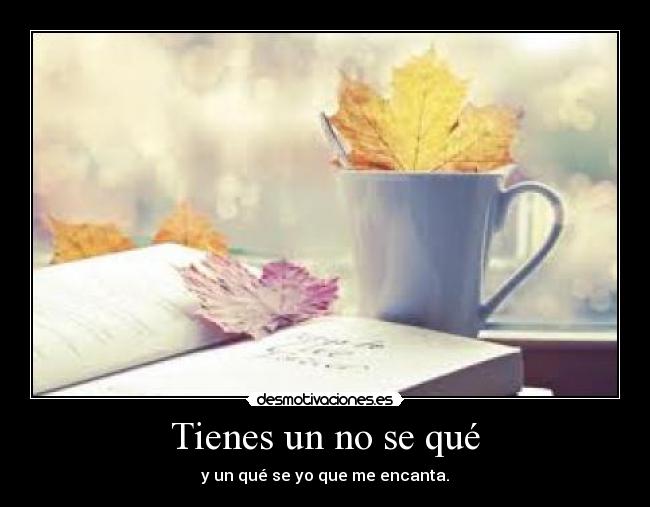 Tienes un no se qué -