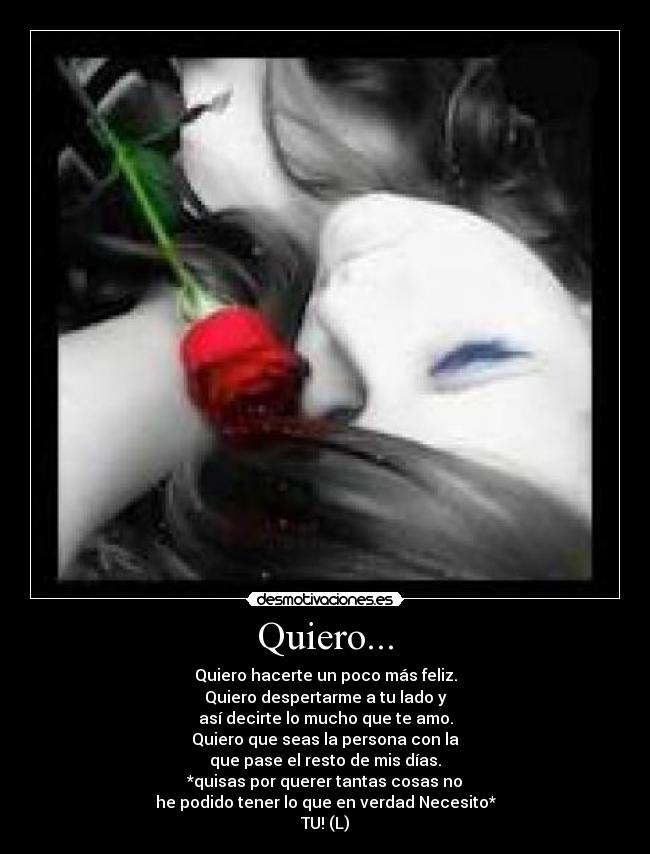 carteles amor amistad querer desmotivaciones