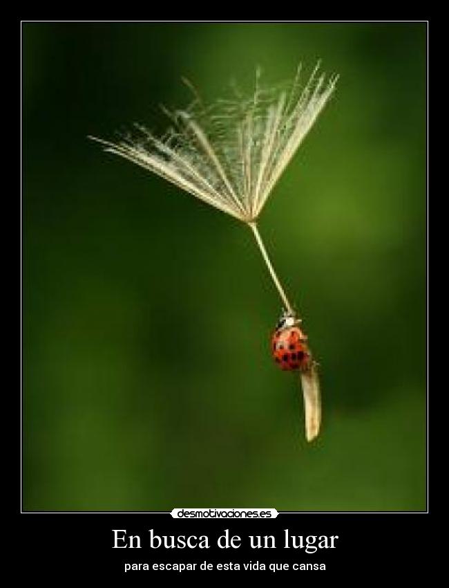 En busca de un lugar - para escapar de esta vida que cansa