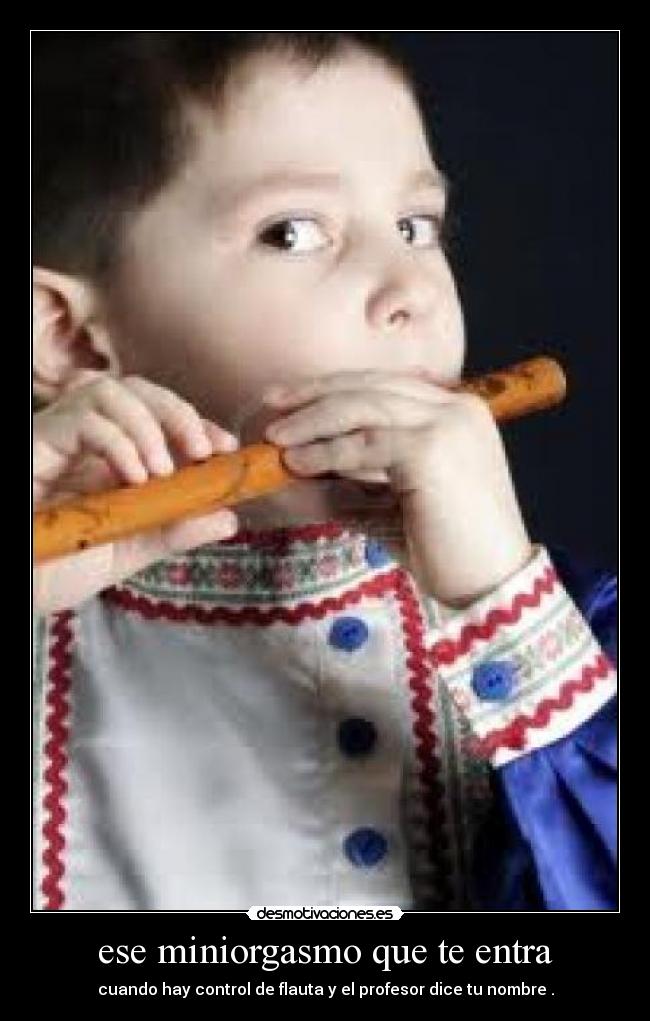 carteles flauta desmotivaciones