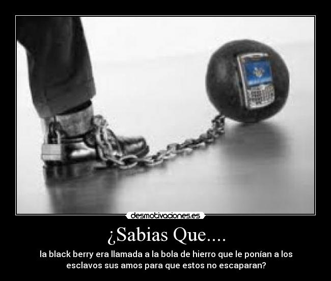¿Sabias Que.... -