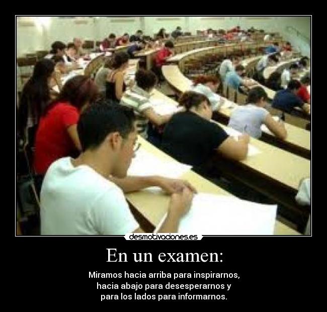 carteles examen desmotivaciones
