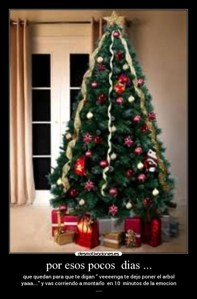 por esos pocos  dias ... - que quedan para que te digan  veeeenga te dejo poner el arbol
yaaa.... y vas corriendo a montarlo  en 10  minutos de la emocion
.....