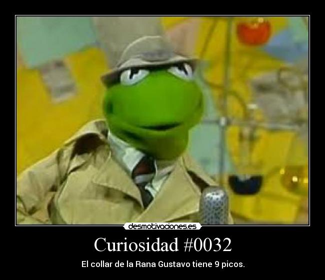 Curiosidad #0032 -