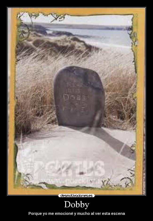 Dobby - 