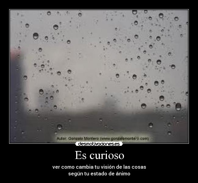 Es curioso - 