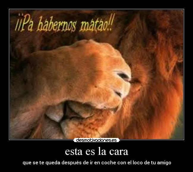 esta es la cara - que se te queda después de ir en coche con el loco de tu amigo