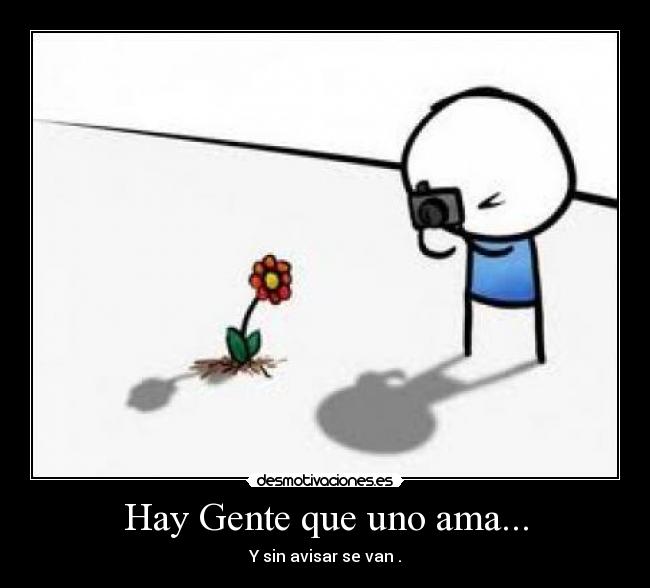 carteles amor verdadero desmotivaciones