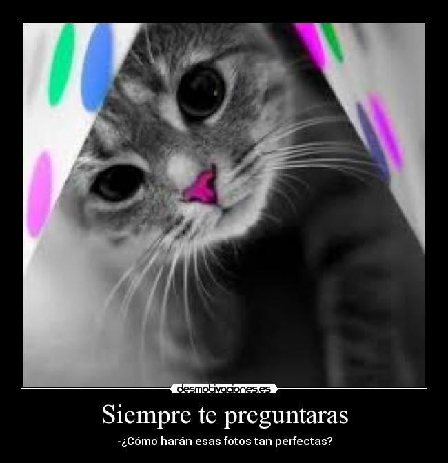 Siempre te preguntaras -