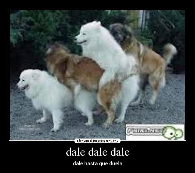 dale dale dale - dale hasta que duela