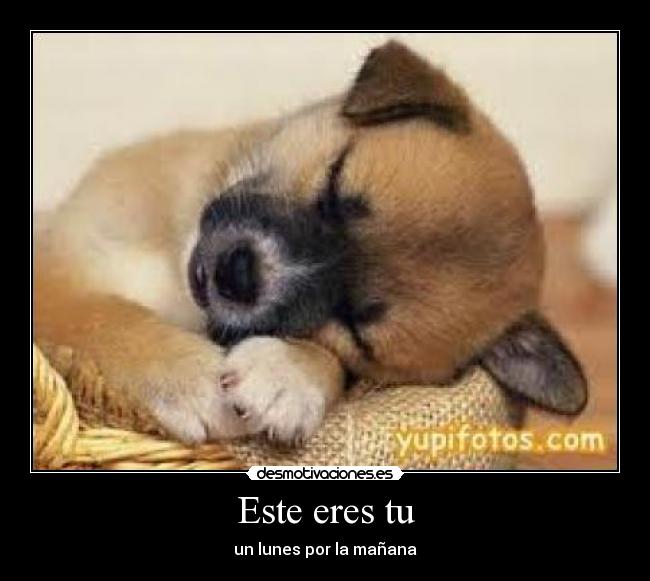 Este eres tu - un lunes por la mañana