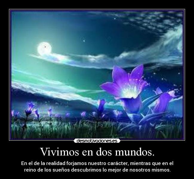 carteles vivimos dos mundos totalmente diferentes aunque nos demos cuenta desmotivaciones