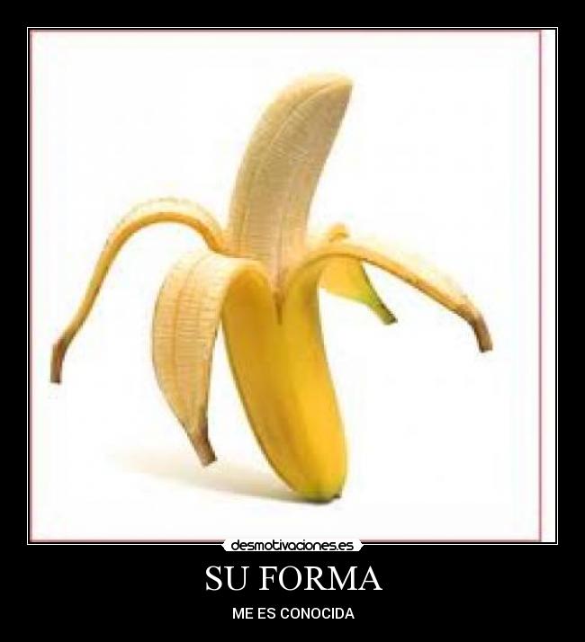 SU FORMA - ME ES CONOCIDA