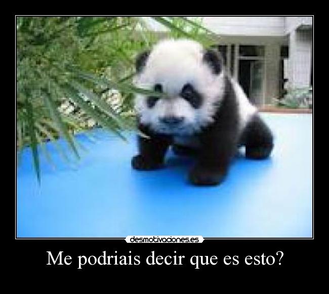 Me podriais decir que es esto? -