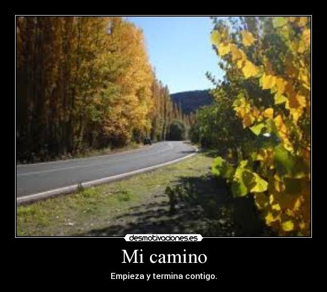 carteles brauno21 desmotivaciones