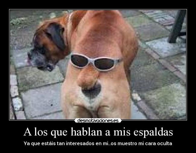 carteles cara oculta desmotivaciones