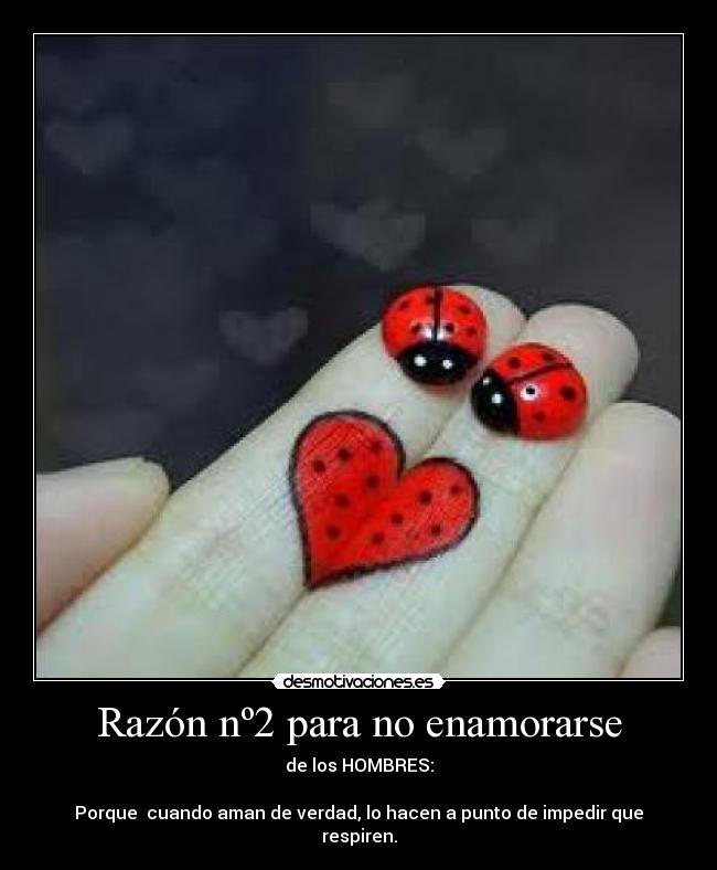 Razón nº2 para no enamorarse -