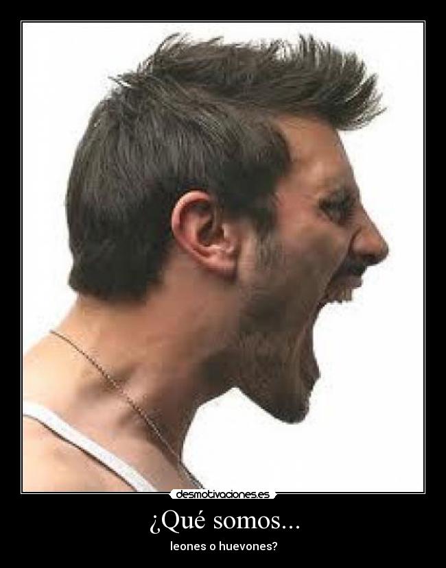 ¿Qué somos... - leones o huevones?