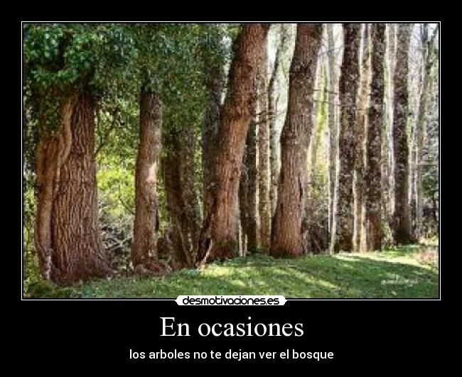 carteles dejes llevar por que ves desmotivaciones