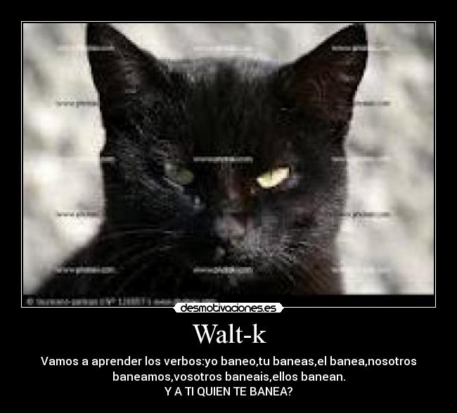 Walt-k -