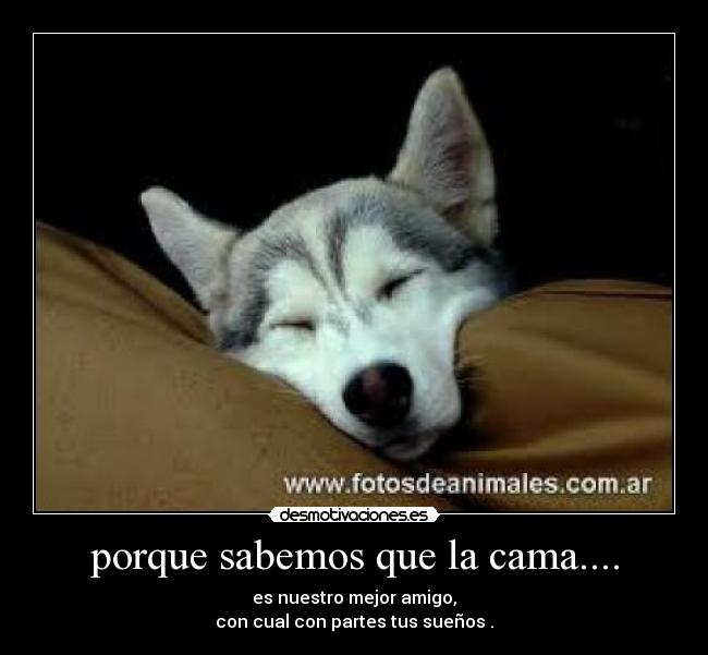 porque sabemos que la cama.... - es nuestro mejor amigo,
con cual con partes tus sueños .