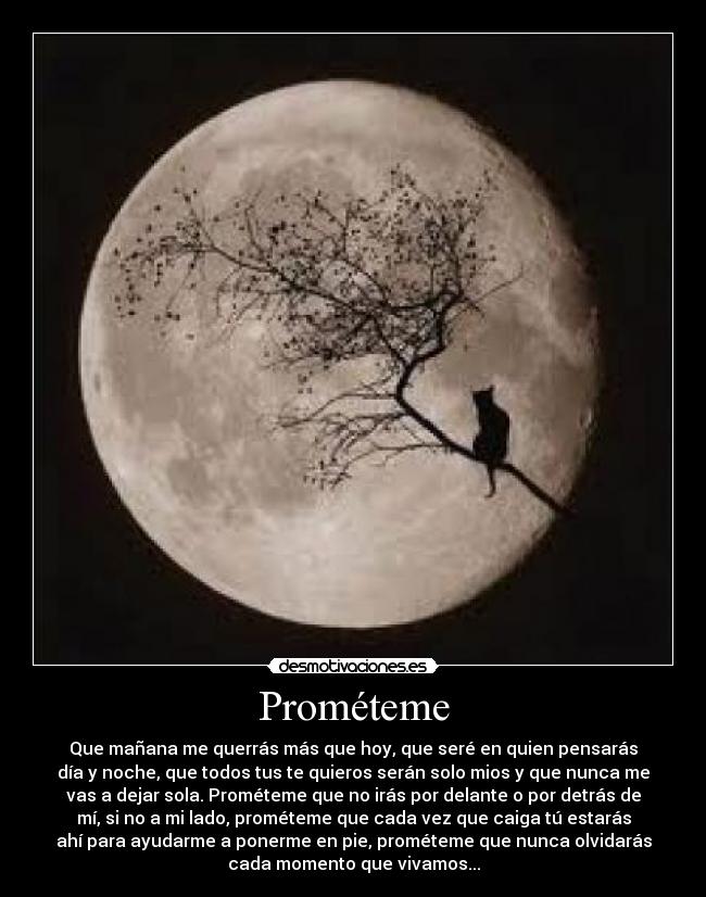 Prométeme - Que mañana me querrás más que hoy, que seré en quien pensarás
día y noche, que todos tus te quieros serán solo mios y que nunca me
vas a dejar sola. Prométeme que no irás por delante o por detrás de
mí, si no a mi lado, prométeme que cada vez que caiga tú estarás
ahí para ayudarme a ponerme en pie, prométeme que nunca olvidarás
cada momento que vivamos...