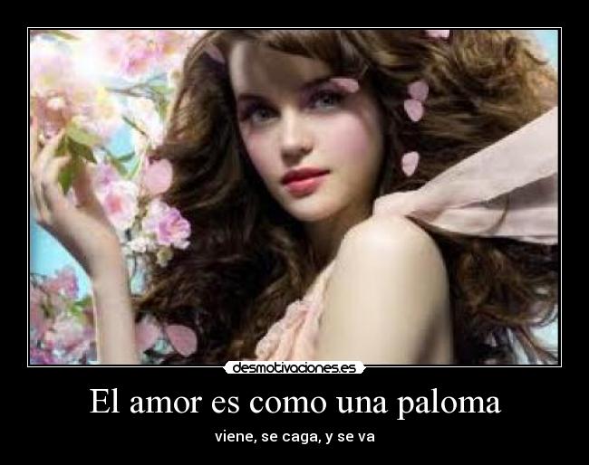 El amor es como una paloma - viene, se caga, y se va