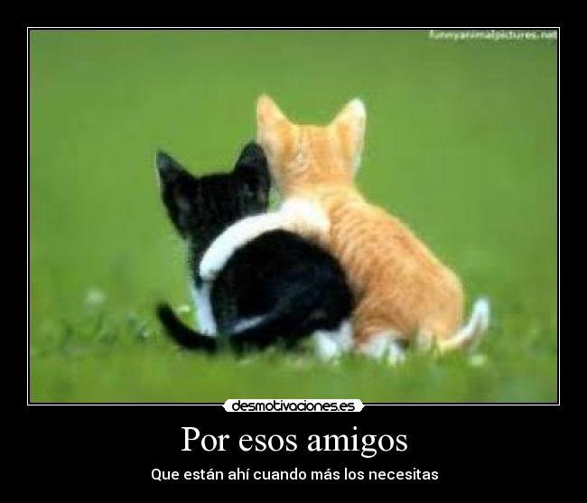 Por esos amigos -