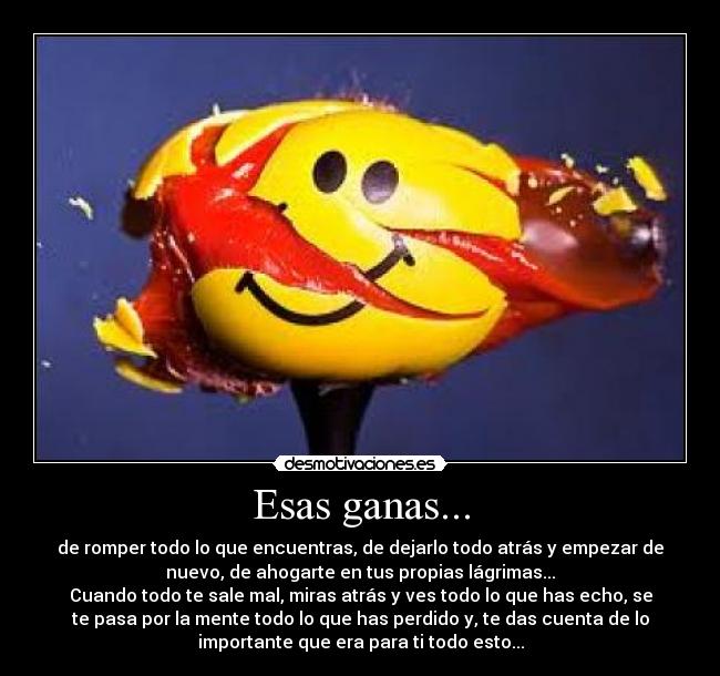 Esas ganas... - de romper todo lo que encuentras, de dejarlo todo atrás y empezar de
nuevo, de ahogarte en tus propias lágrimas...
Cuando todo te sale mal, miras atrás y ves todo lo que has echo, se
te pasa por la mente todo lo que has perdido y, te das cuenta de lo
importante que era para ti todo esto...