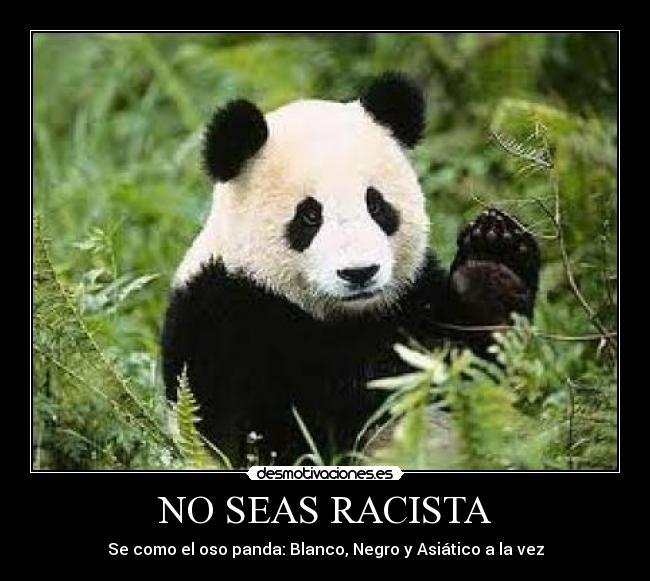 NO SEAS RACISTA -